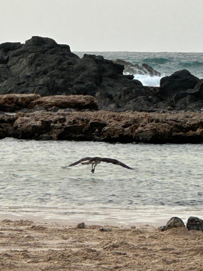 B&B Mi Ma Bo, Sal Rei, Boa Vista, Cape Verde, Free Wi-Fi Esterno foto